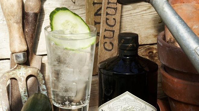 The Hendrick’s Gin & Tonic