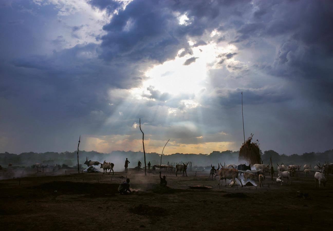 levison wood encounters