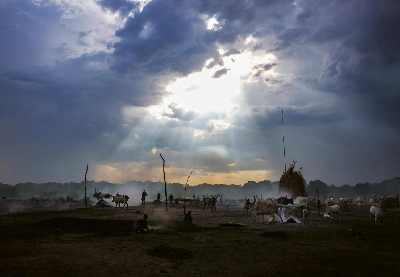 levison wood encounters