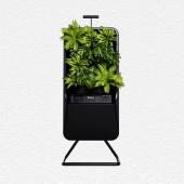Respira Natural Air Purifier