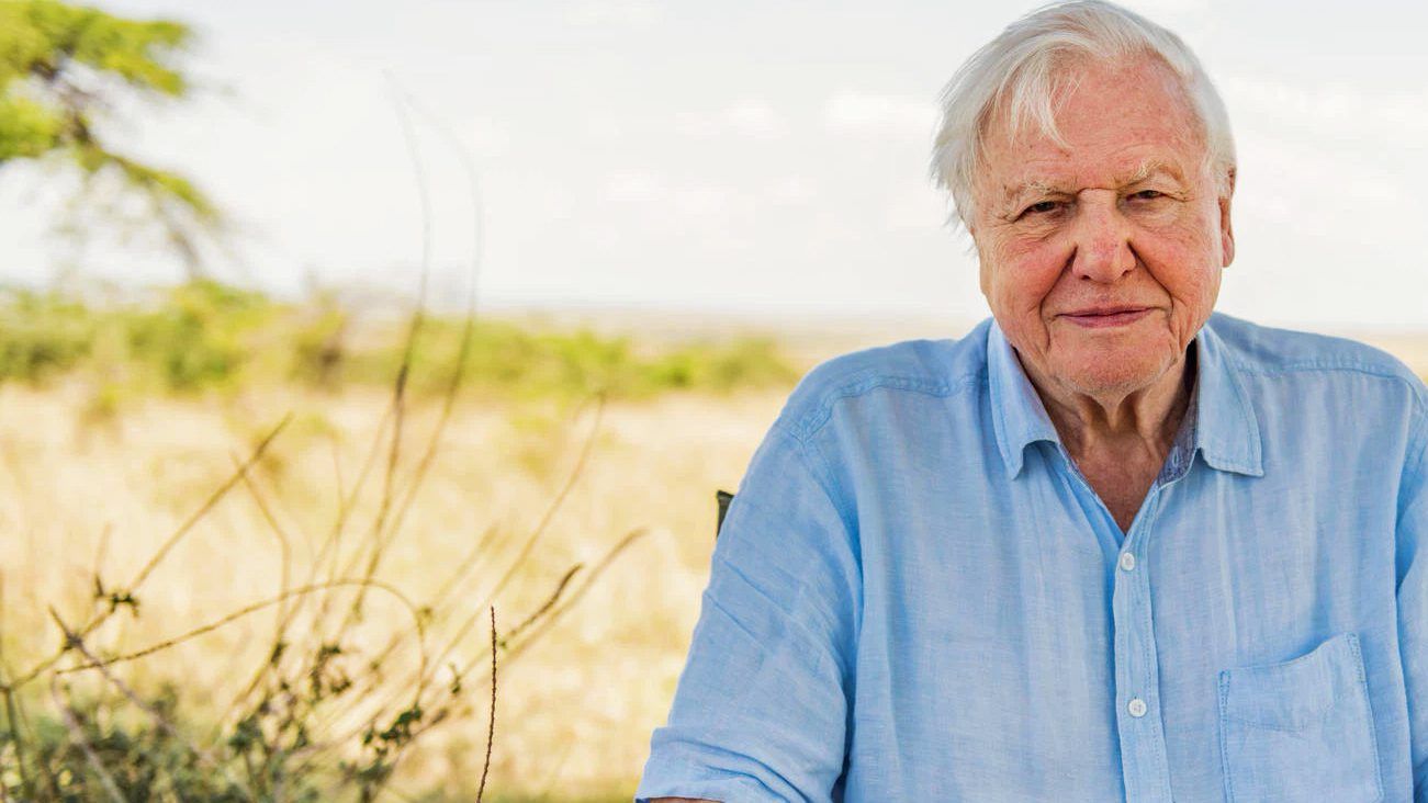 What to watch on Netflix in June 2021