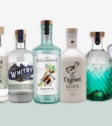 best gins bottles never heard of