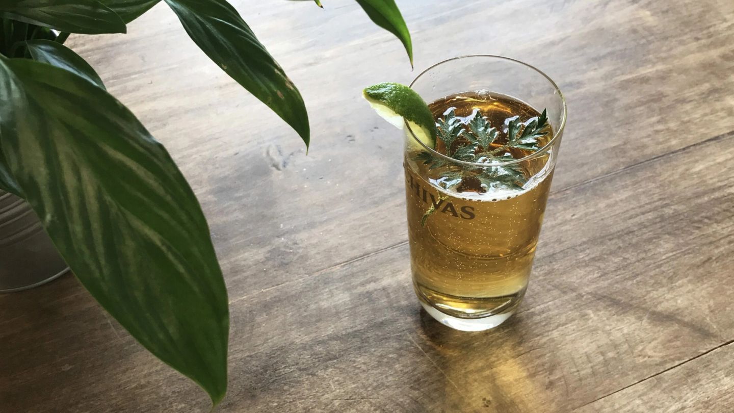 Cocktail of the Week: Chivas Mizunara Highball