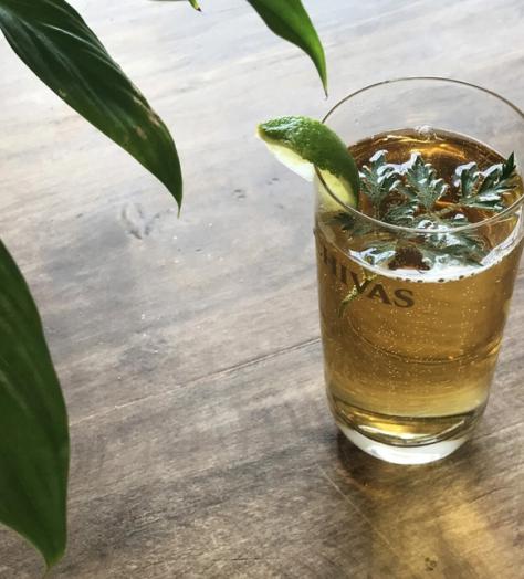 Cocktail of the Week: Chivas Mizunara Highball