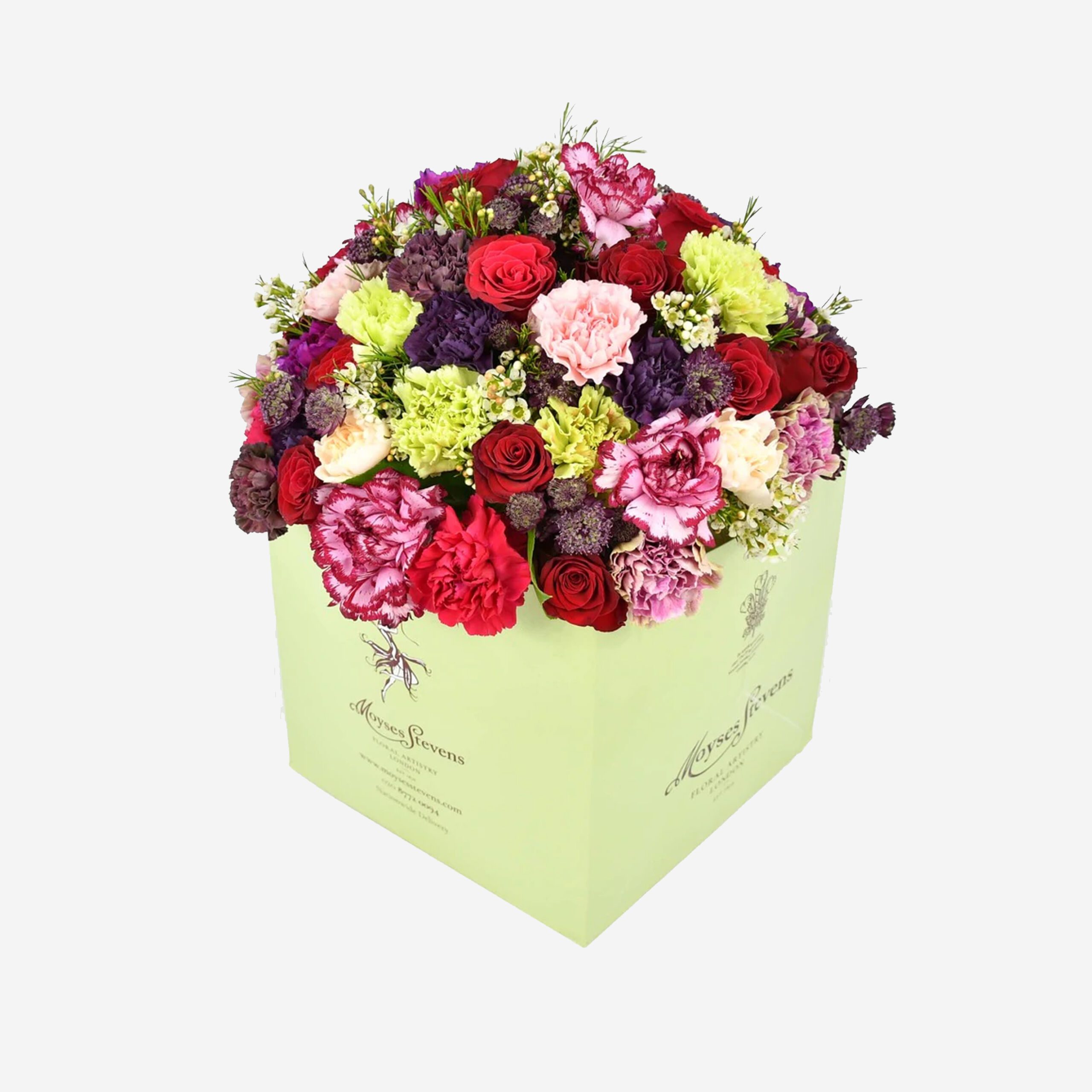 Moyses Stevens Cherry Temptation