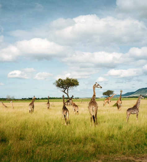 This side of paradise