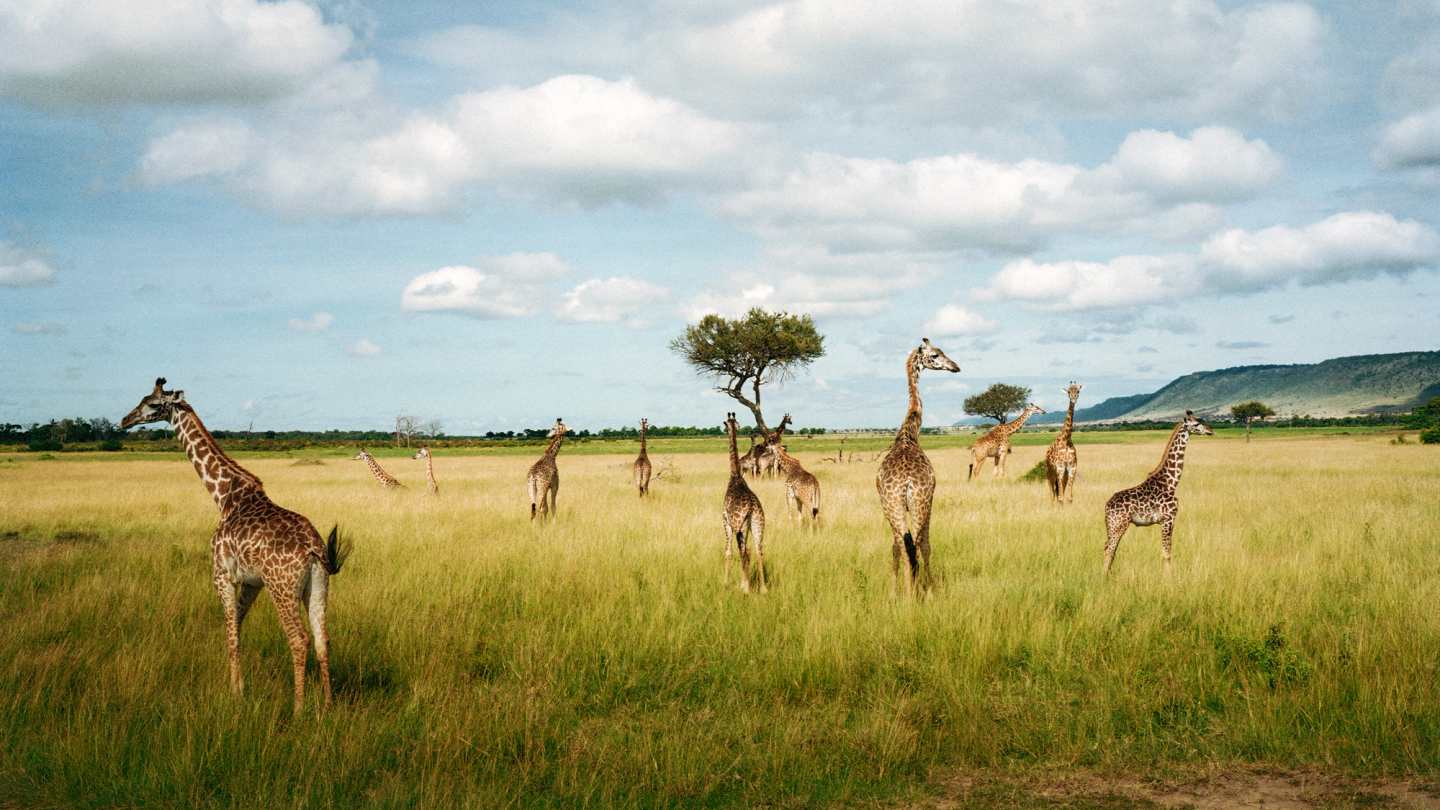 This side of paradise