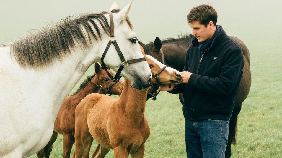 Highclere Stud’s Jake Warren: “I want to drive Highclere to the top of the industry”