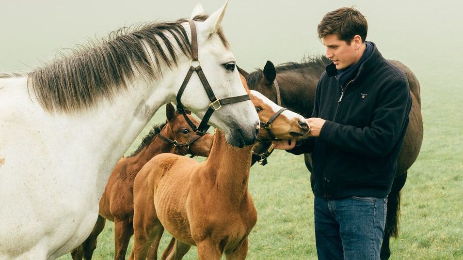 Highclere Stud’s Jake Warren: “I want to drive Highclere to the top of the industry”
