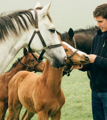 Highclere Stud’s Jake Warren: “I want to drive Highclere to the top of the industry”