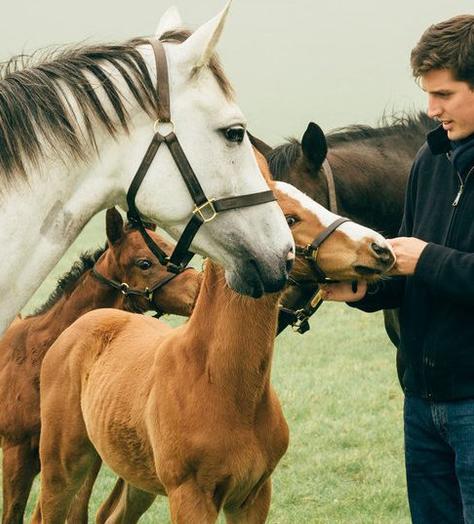 Highclere Stud’s Jake Warren: “I want to drive Highclere to the top of the industry”