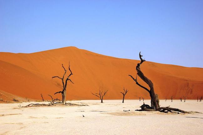 deadvly-namibia