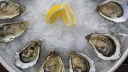 How to… Shuck an Oyster with Robin Hancock