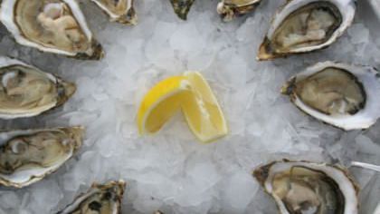 How to… Shuck an Oyster with Robin Hancock