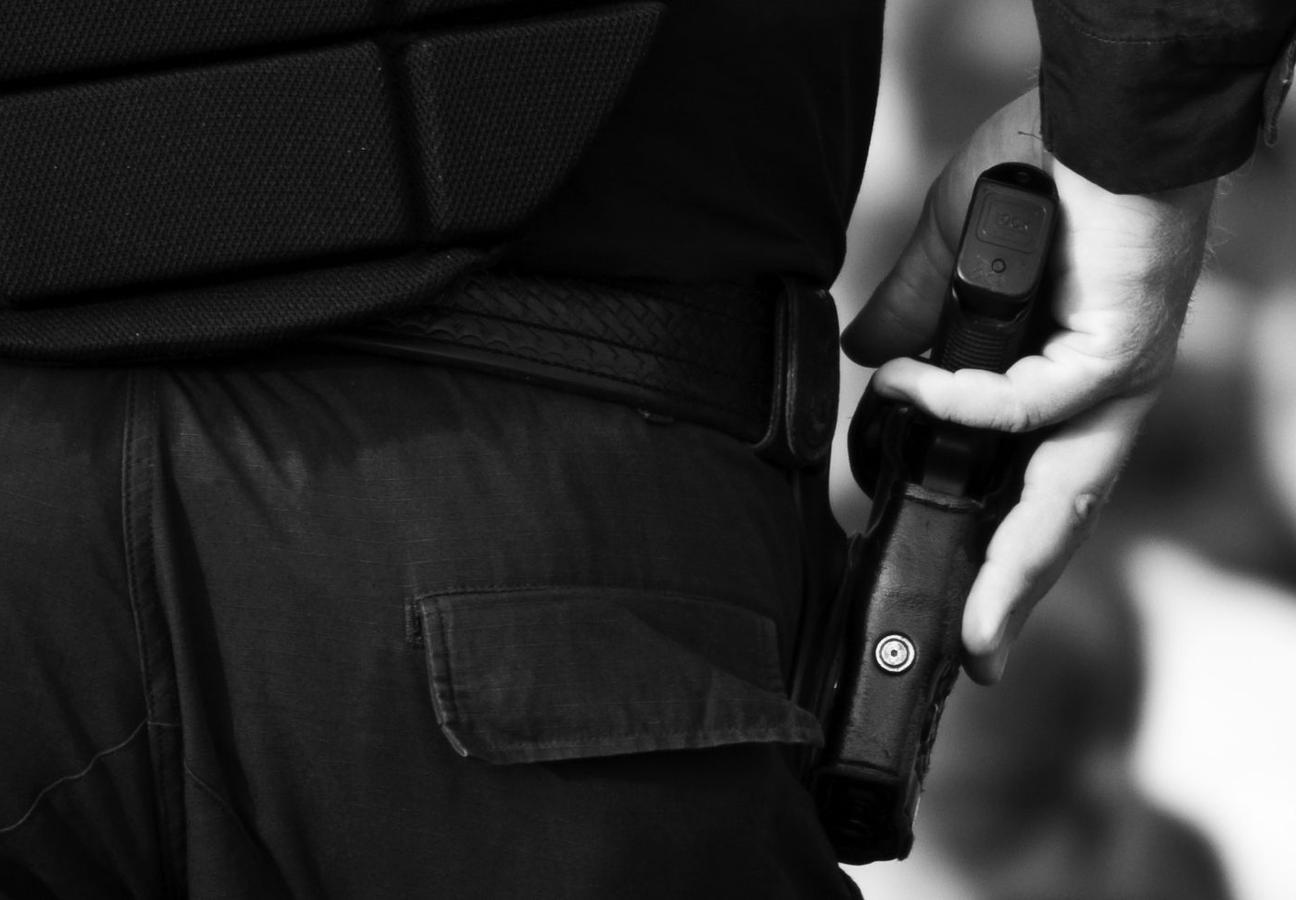 bodyguard gun