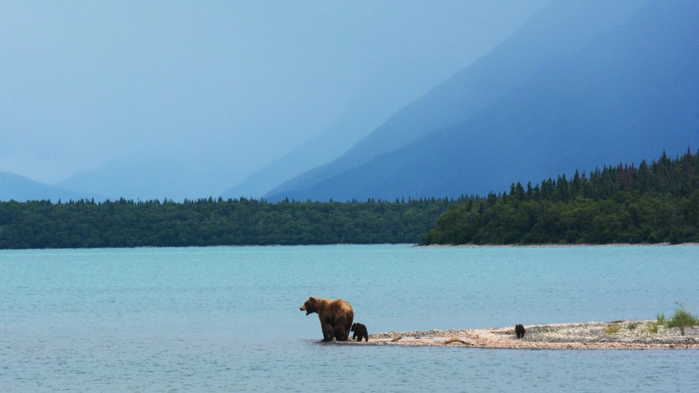 Ready to go off grid? These are the travel destinations that promise to get you away from it all