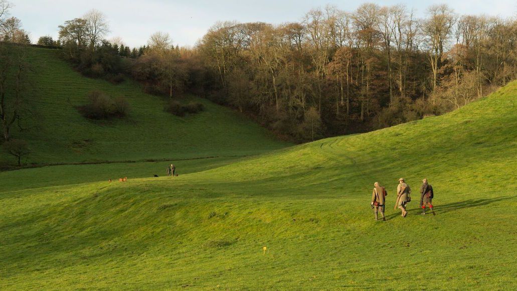 The finest countryside activities within a stone’s throw of the capital