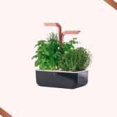Véritable Smart Herb Garden