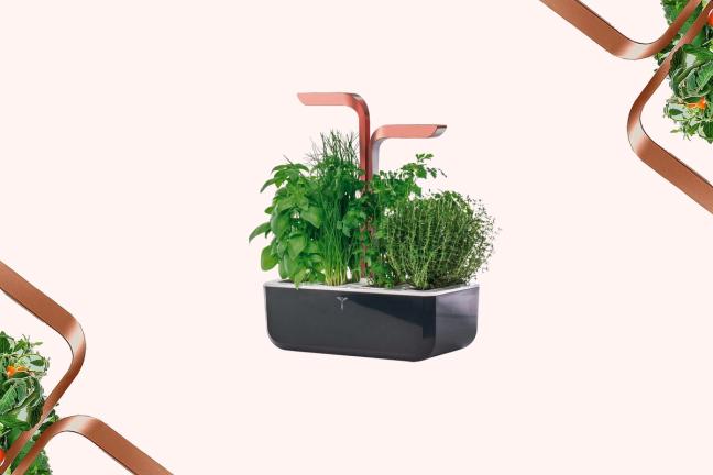 Véritable Smart Herb Garden