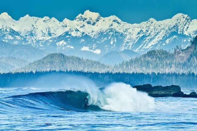 Tofino