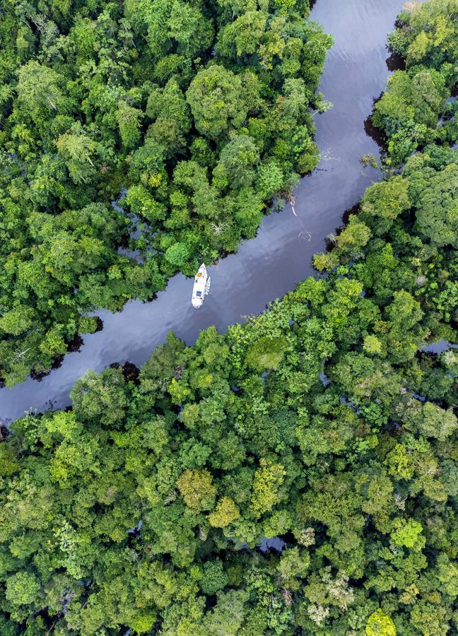 Sailing along a river though the forest