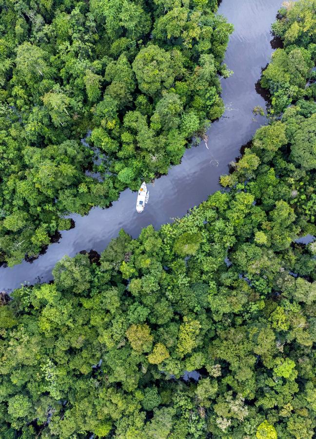 Sailing along a river though the forest