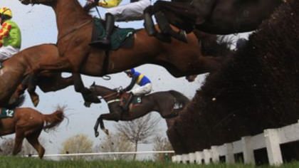 WHAT’S ON – Excitement Builds for The Cheltenham Festival