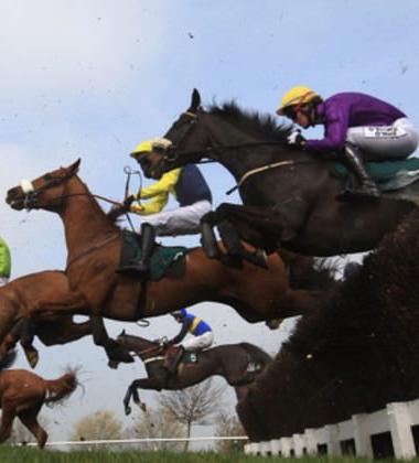 WHAT’S ON – Excitement Builds for The Cheltenham Festival