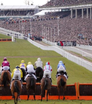 This top bookmaker’s tips will help you win big at the races