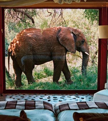 The most incredible hotel rooms in the world