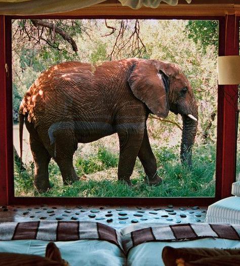 The most incredible hotel rooms in the world