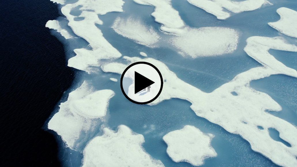 Everything you need to know about Leonardo DiCaprio’s ‘Before the Flood’