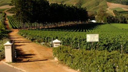 Around the world in 8 glasses