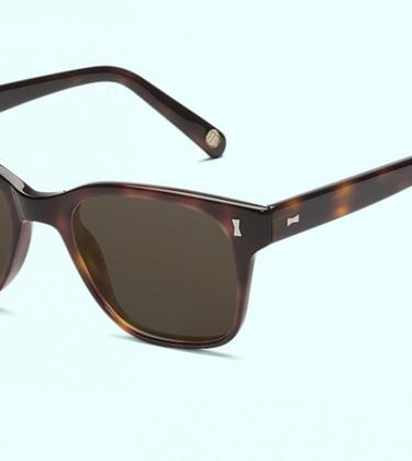 cubitts sunglasses