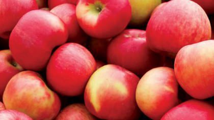 5 easy ways to improve your diet