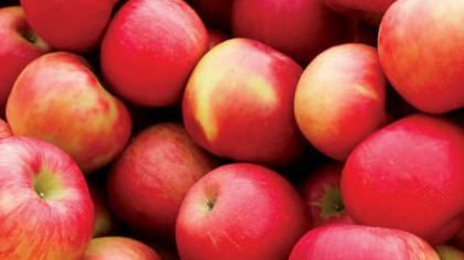 5 easy ways to improve your diet
