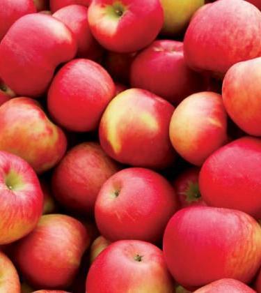 5 easy ways to improve your diet