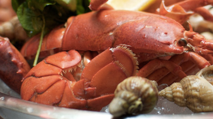 Boisdale Canary Wharf Review – Serving Steak with Sax Appeal…