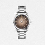 OMEGA Railmaster