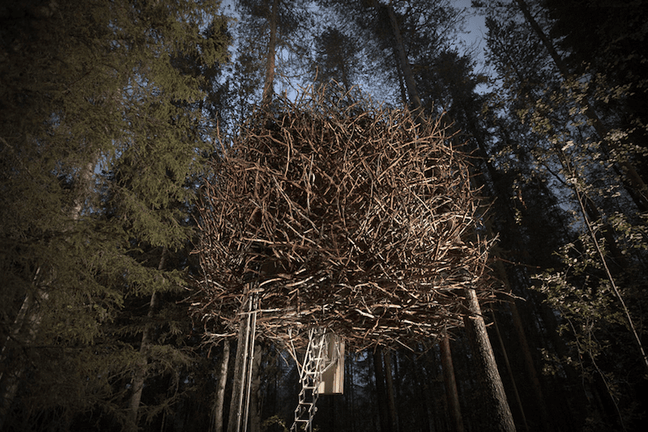 900_birds_nest_exterior_2a