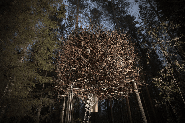 900_birds_nest_exterior_2a