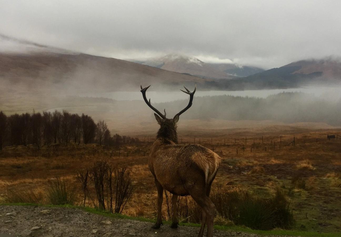 best shooting destinations uk