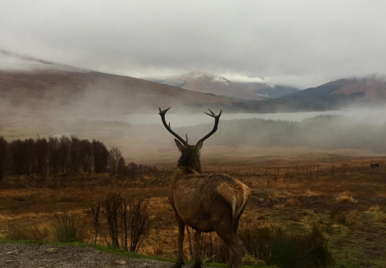 best shooting destinations uk