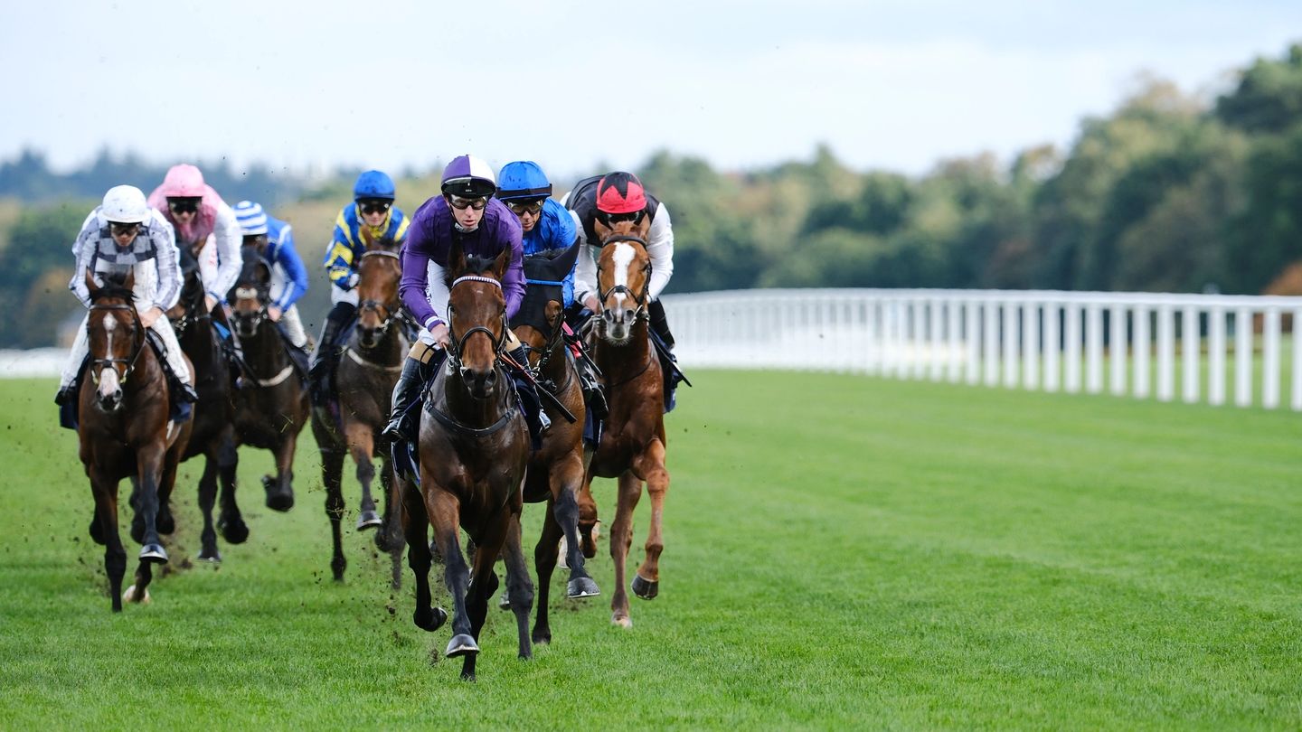 Witness racing history in action at QIPCO British Champions Day 2025