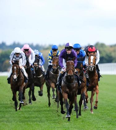 Witness racing history in action at QIPCO British Champions Day 2025