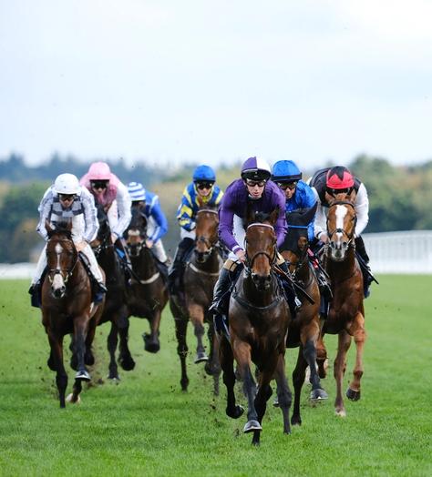 Witness racing history in action at QIPCO British Champions Day 2025