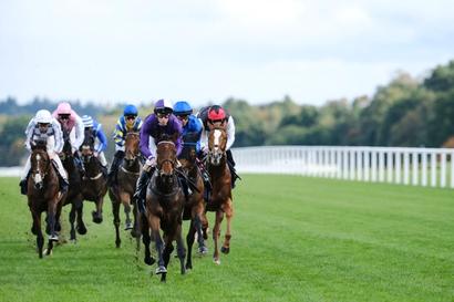 Witness racing history in action at QIPCO British Champions Day 2025
