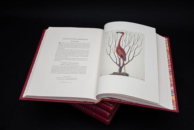 ADDISON_PUBLICATIONS_26