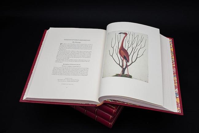 ADDISON_PUBLICATIONS_26