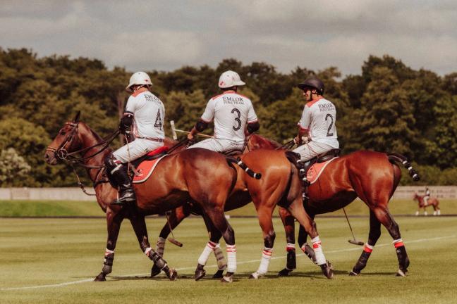 polo-players-shoot-horses